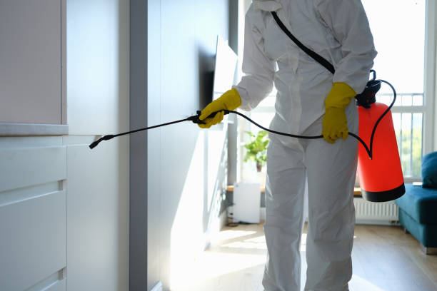 Best Residential Mold Remediation in Glendale, OH
